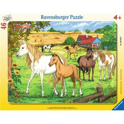 Spiel 7964.0